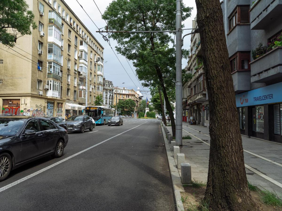 Apartment Beautiful Modern - Cismigiu Park - Netflix *